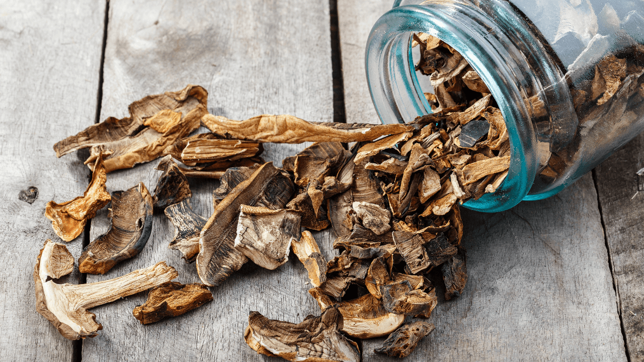 Белый гриб (сушеный)